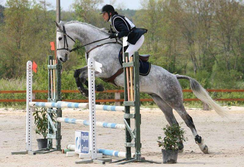 Abraj-atlas-d-equitation